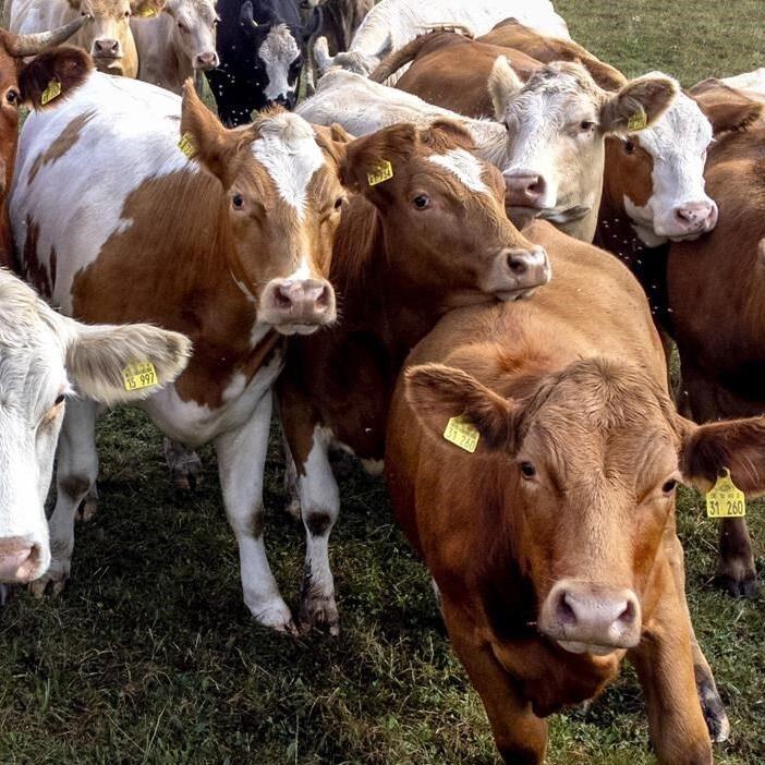 Pollution of the potent warming gas methane soars and people are mostly to blame